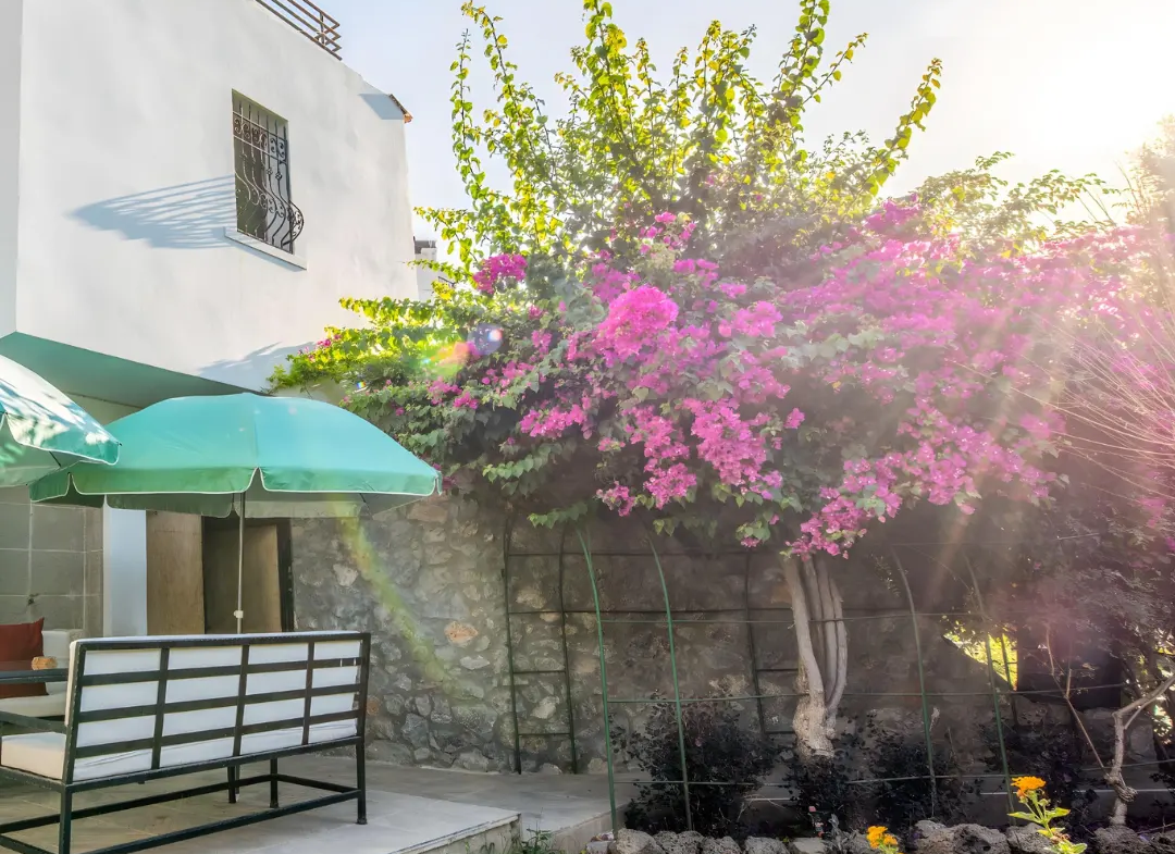 Cozy Traditional Home in Zeytinlik, North Cyprus