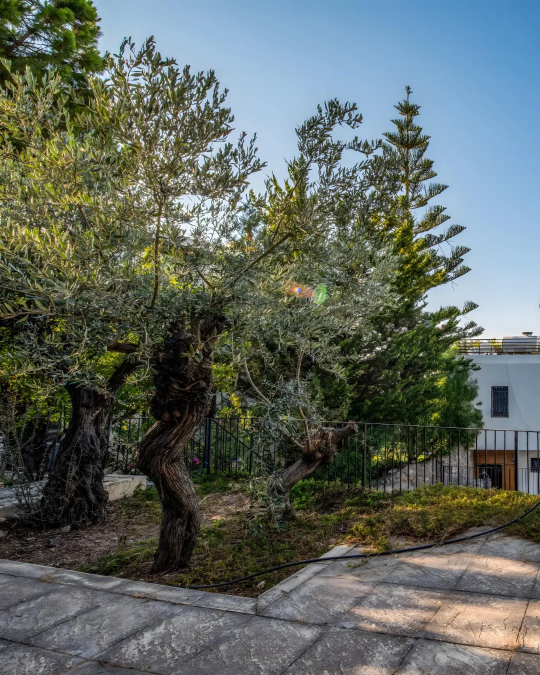 Cozy Traditional Home in Zeytinlik, North Cyprus